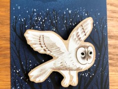 pins owl front3