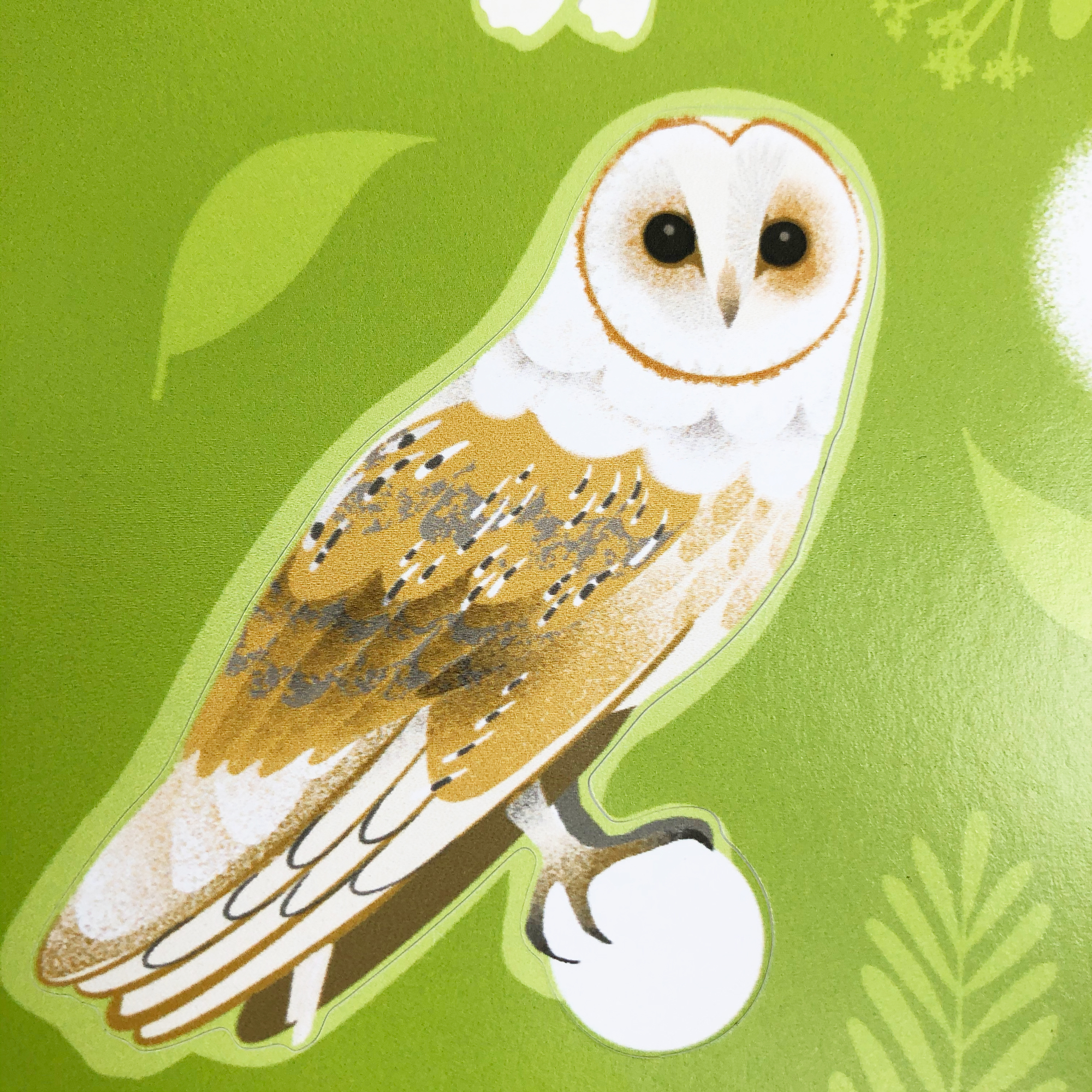stickers owls3