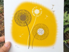 dandelion yellow