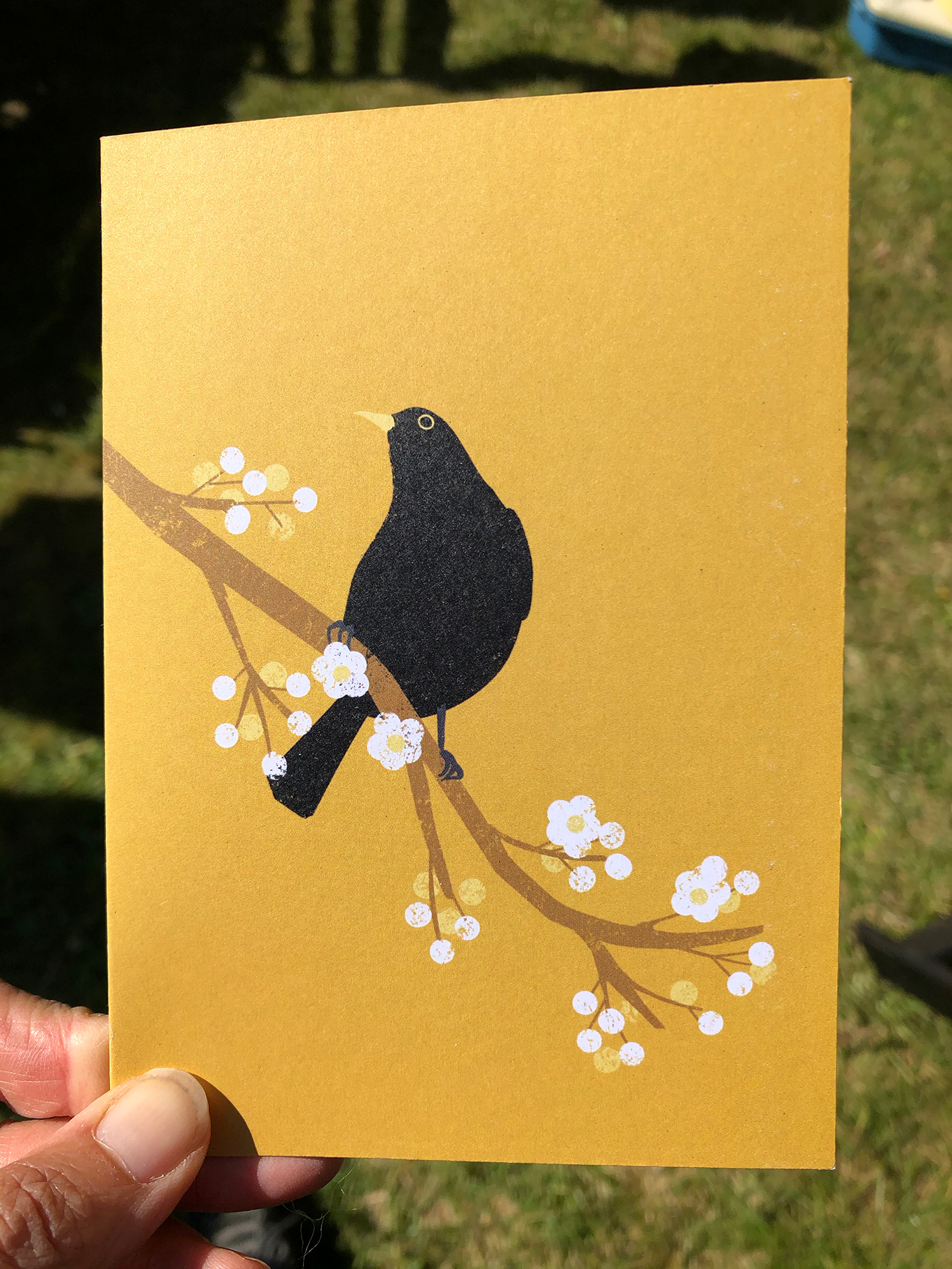 blackbird card1